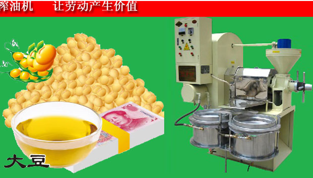 大豆榨油機(jī)