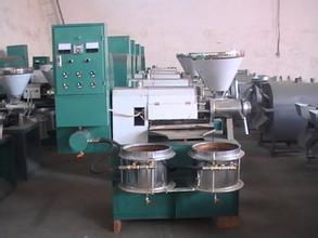 6YL-130榨油機(jī)