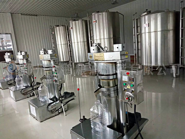 小型榨油機成套設備