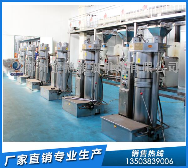 茶籽榨油機設備