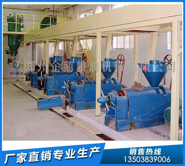 火麻籽榨油機設備