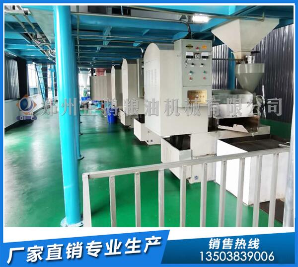 山茶籽榨油機設備廠家,企鵝品質盡人皆知(圖1) 茶籽榨油機設備