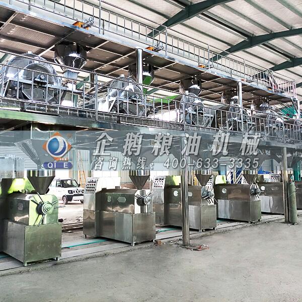 茶籽榨油機(jī)