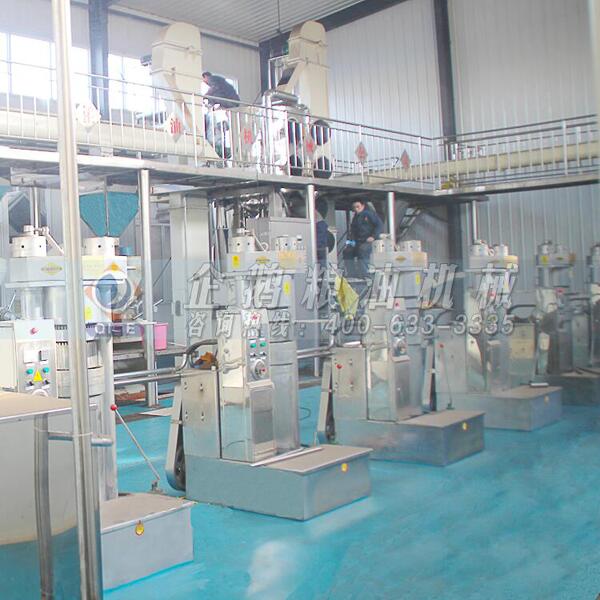 核桃油榨油機生產線