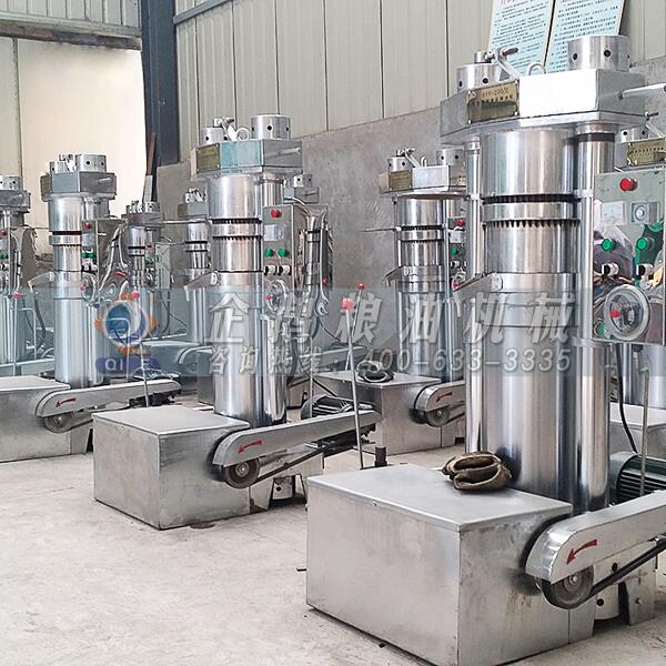 核桃榨油機設備