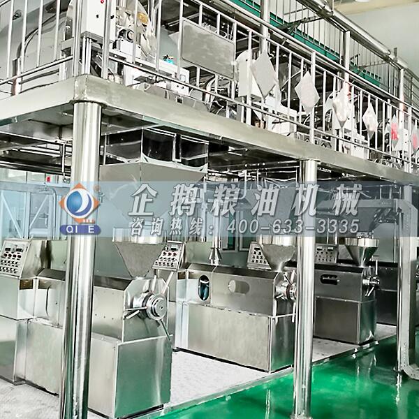 南瓜籽榨油機(jī)設(shè)備