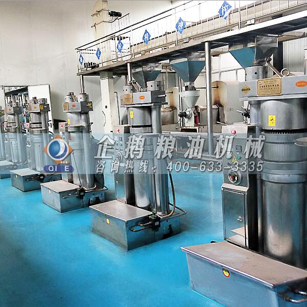 芝麻核桃榨油機